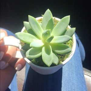 Meet your Posher, Lyndsey